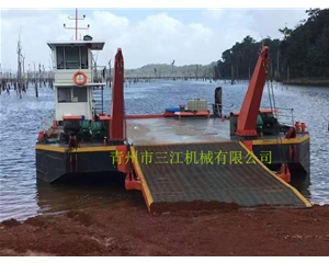 加蓬共和國(guó)客戶定制的擺渡船